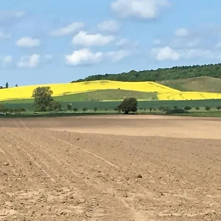 Feriehus Estrelia Comfortable