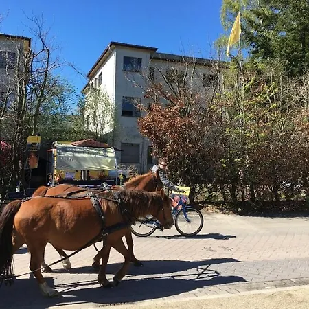 Feriehus Estrelia Comfortable *